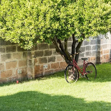 بيت للعطل Casa Alba & Francesco Specchia Gallone